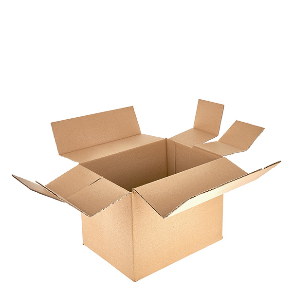 Glazen dozen (25 stuks) met 6 compartimenten 250x170x195mm