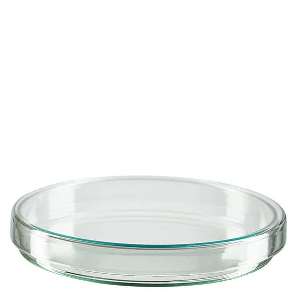Petrischaal 120x15 mm van glas