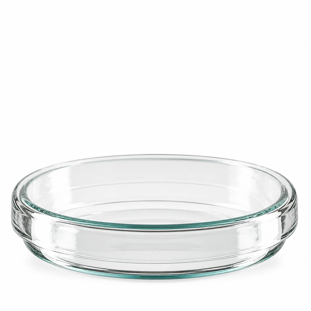 Lege glazen petrischaal 80 x 15 mm voor microbiologisch onderzoek – laboratoriumuitrusting