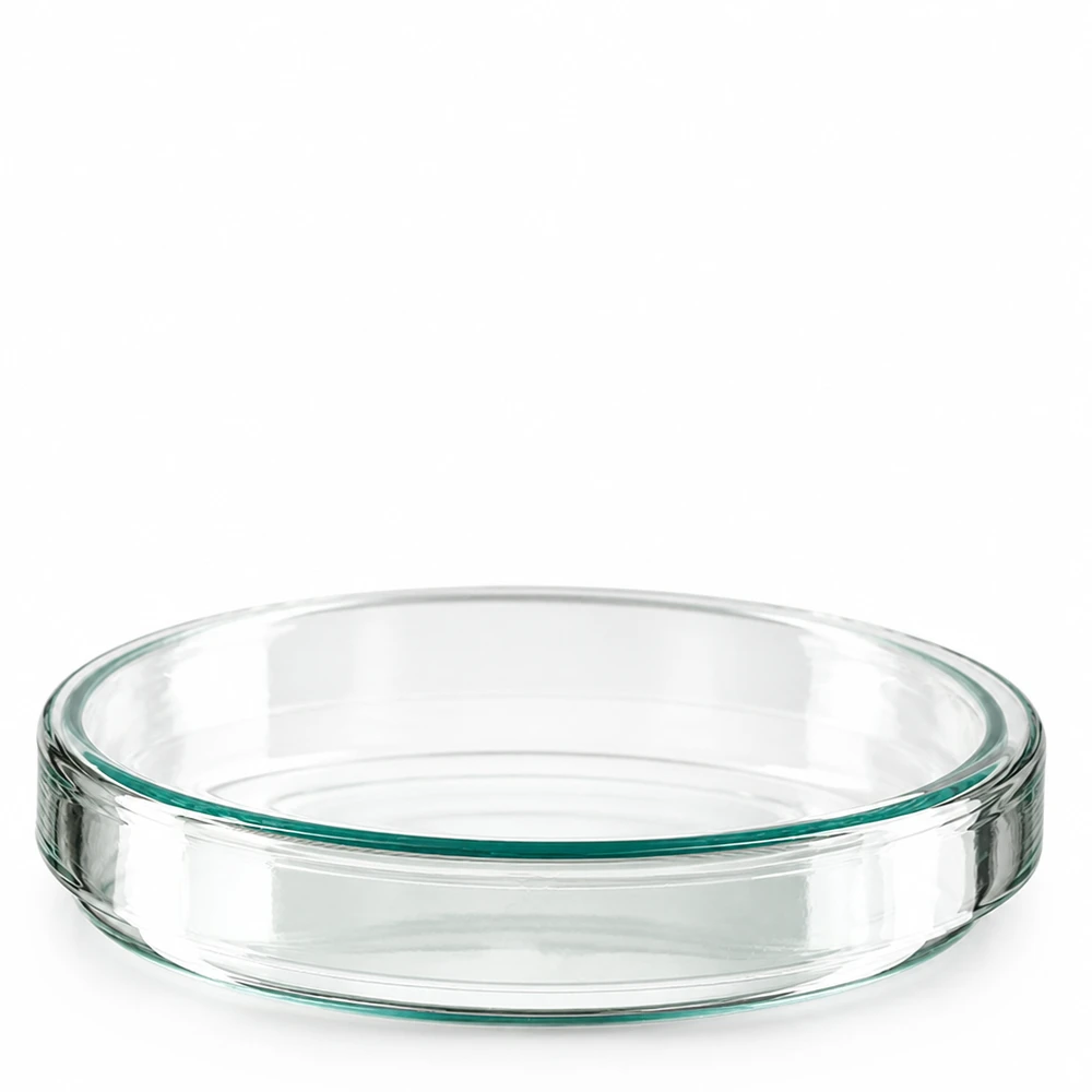 Vlakke, ronde petrischaal van glas, 100 mm, voor microbiologie en celkweek