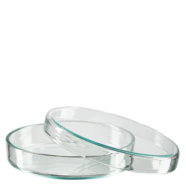 Petrischaal 80x15 mm van glas Petrischaal 80x15 mm van glas