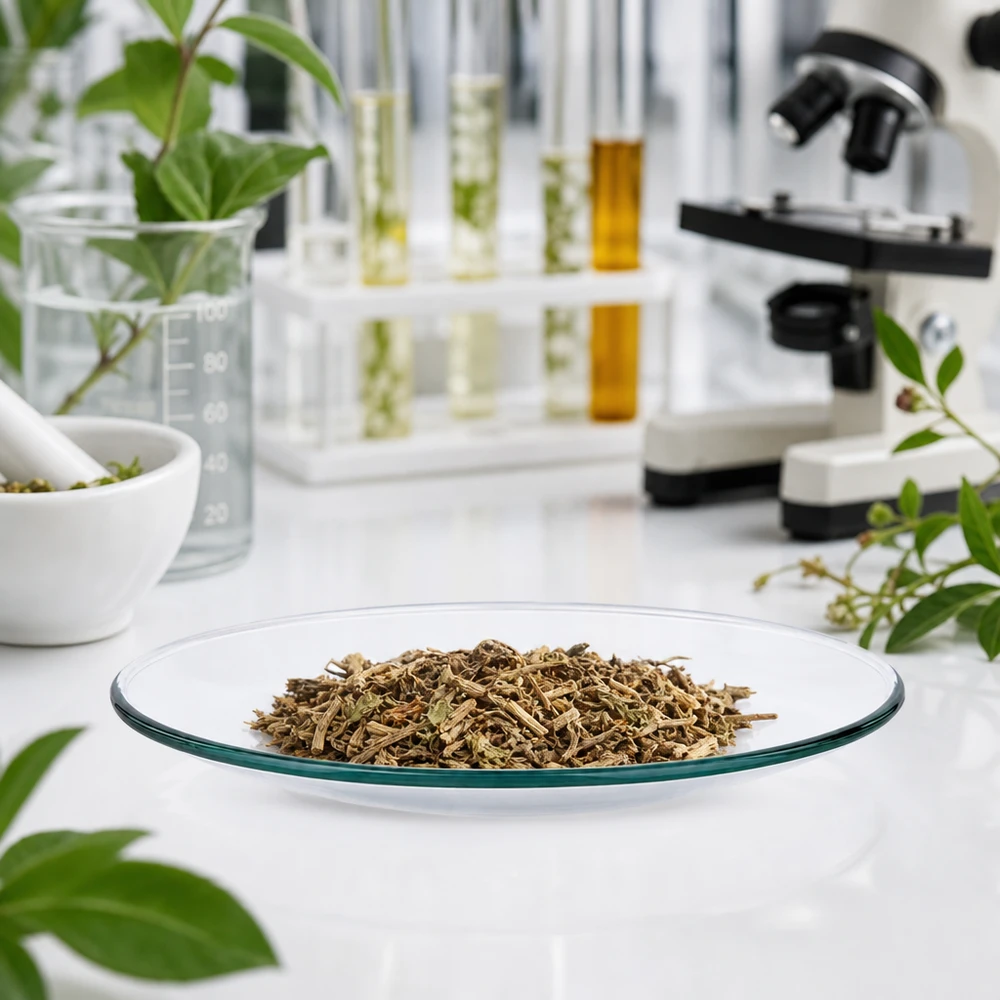 Horlogeglazen 100 mm - borosilicaatglas 3.3 - versmolten rand Horloge glazen schaal in steriele laboratoriumomgeving voor farmaceutisch plantenonderzoek