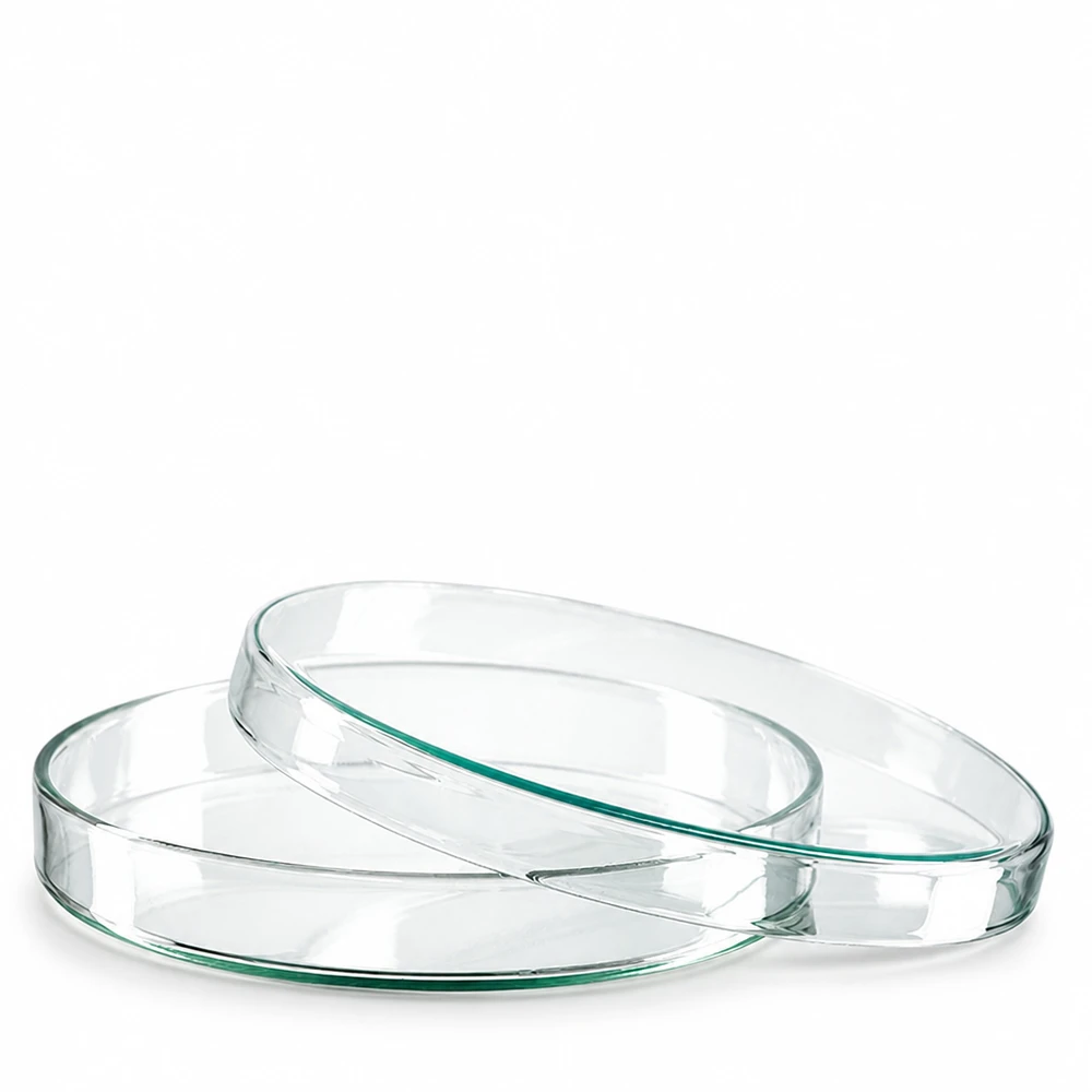 Petrischaal 120x15 mm van glas Ronde, platte glazen schaal van 120 mm voor laboratorium- en wetenschappelijk gebruik, met groene glazen rand