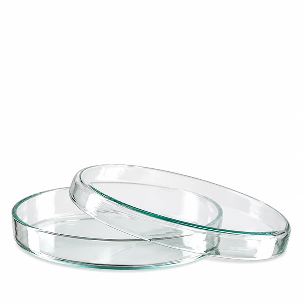 Glazen laboratoriumpetrischalen van 90 x 15 mm, ideaal voor celculturen, het kweken van bacteriën en experimenten