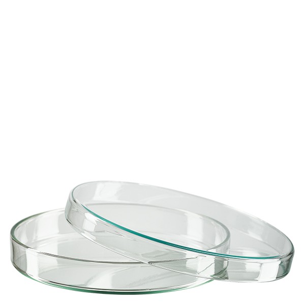 Petrischaal 120x15 mm van glas Petrischaal 120x15 mm van glas