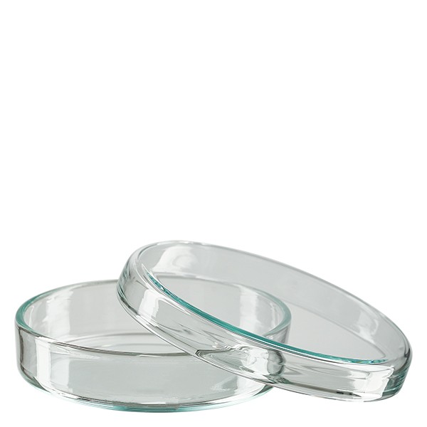 Petrischaal 70x15 mm van glas Petrischaal 70x15 mm van glas