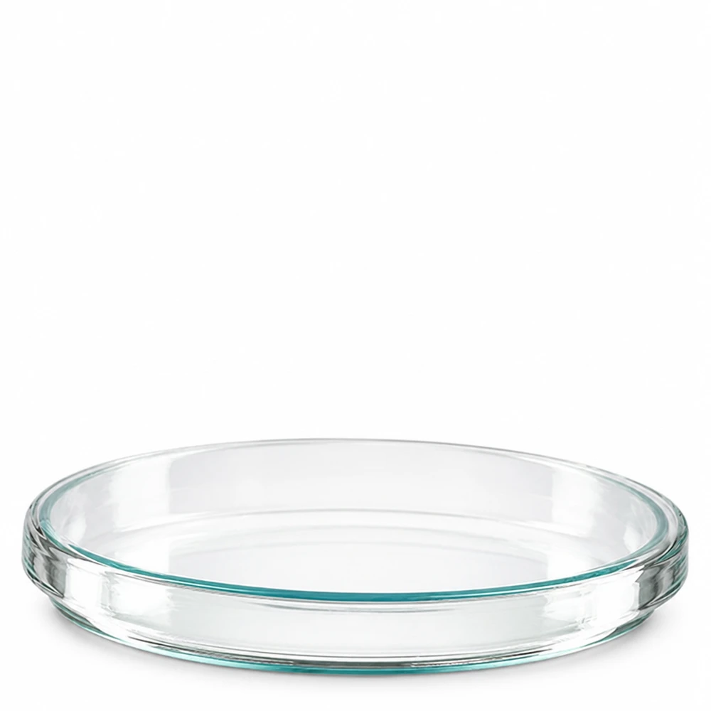 Petrischaal van borosilicaatglas, 100 x 15 mm, met zichtbare glazen bodem en heldere rand