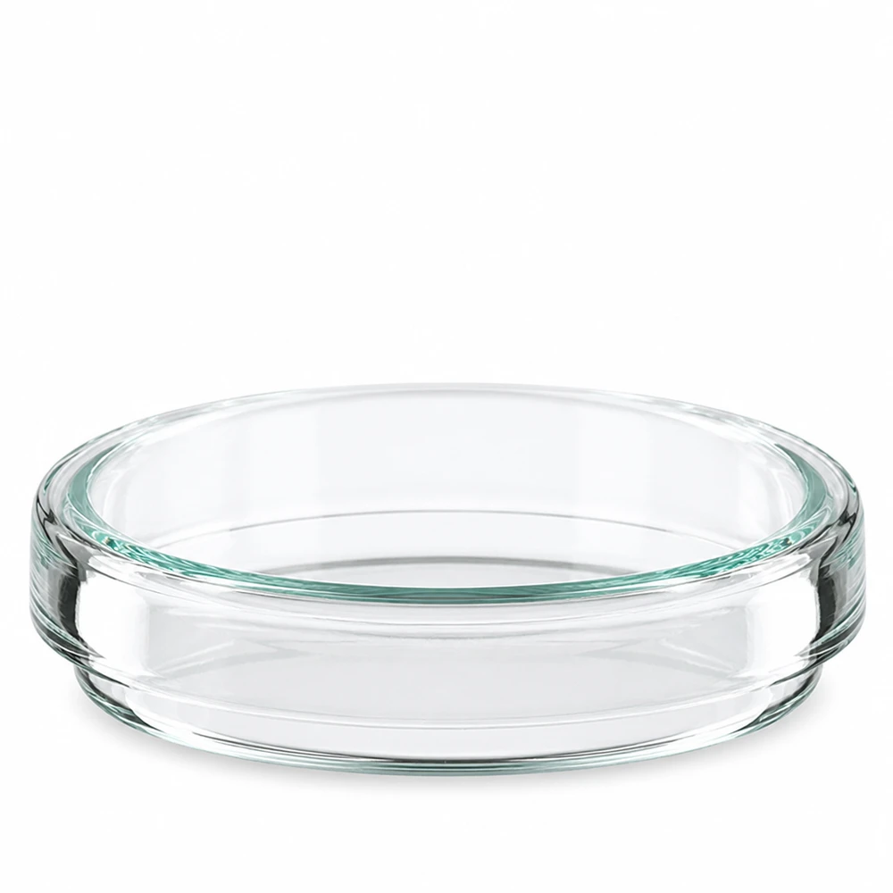 Petrischaal 60x15 mm van glas Doorzichtige glazen petrischalen 60x15 mm voor laboratorium- en wetenschappelijk gebruik – vooraanzicht