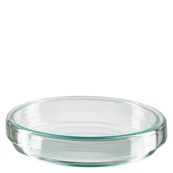Petrischaal 80x15 mm van glas