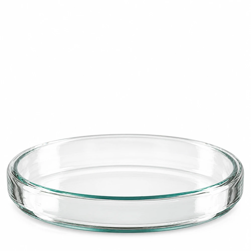 Petrischaal van glas 90 x 15 mm met zichtbare groenachtige glazen rand, vooraanzicht, laboratoriumuitrusting