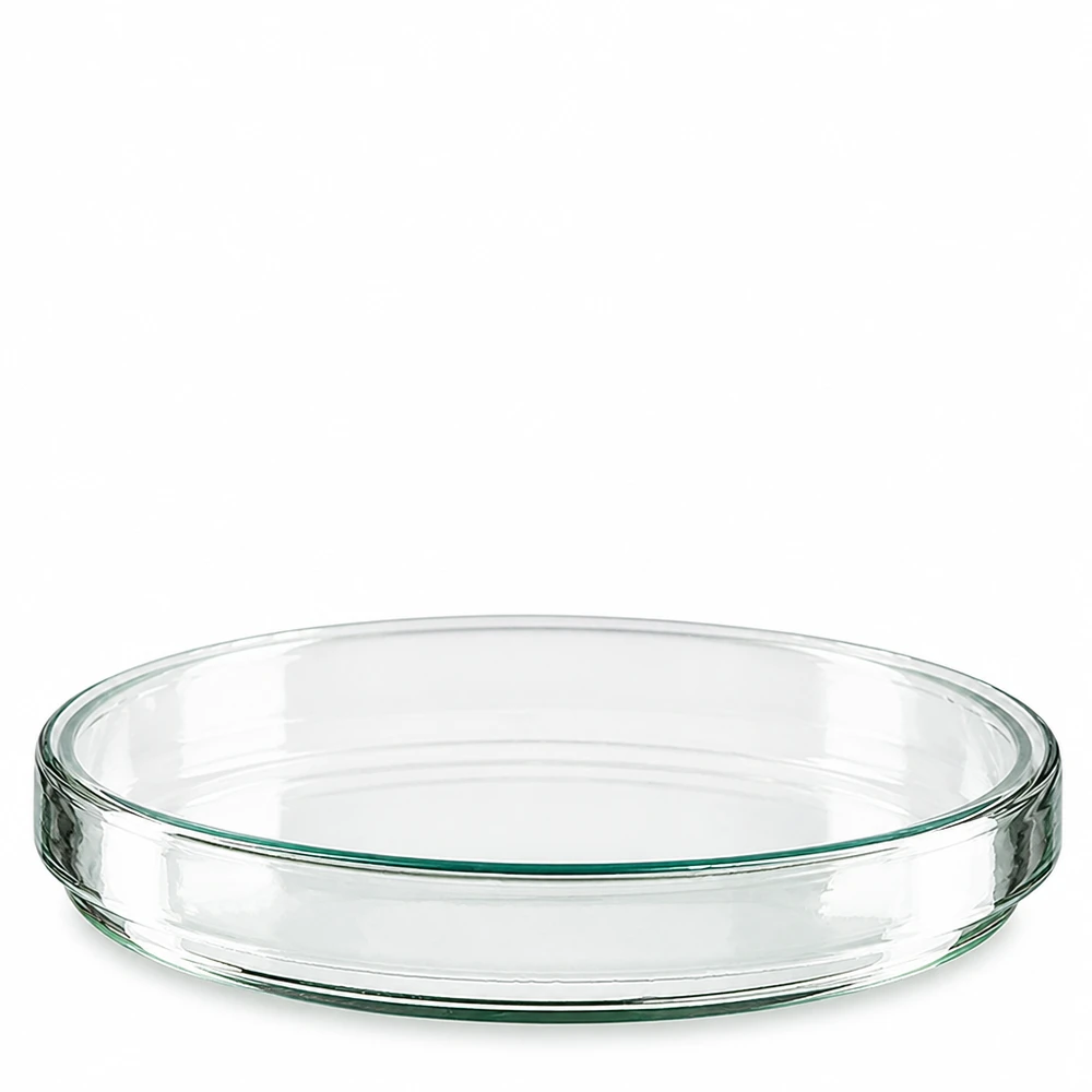 Petrischaal van glas, 120 x 20 mm, voor microbiologische laboratoriumtoepassingen, leeg en schoon